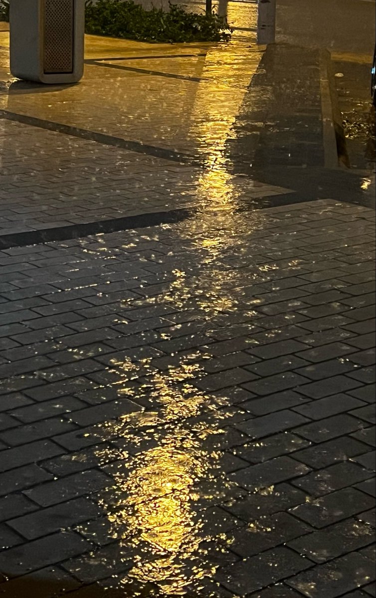 RH👩🏻‍⚕️🇸🇦 tweet media