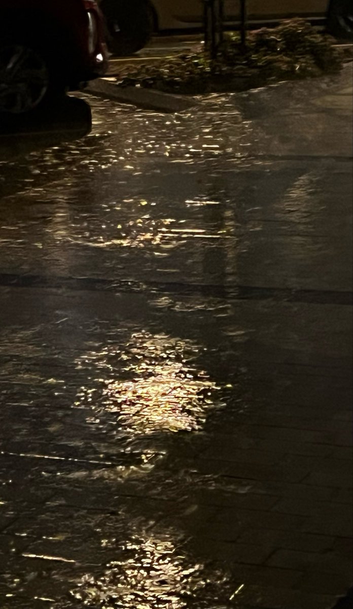 RH👩🏻‍⚕️🇸🇦 tweet media