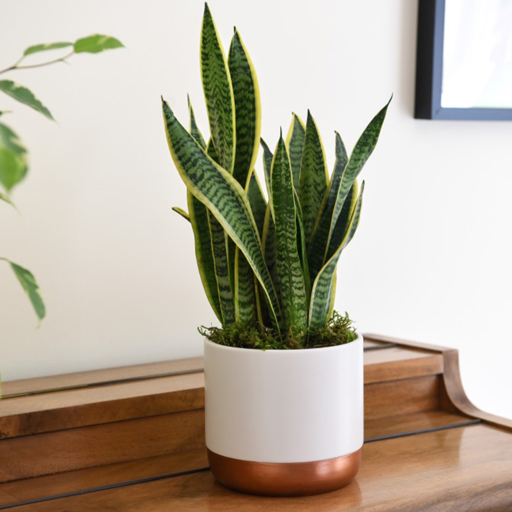 DEVIENNE CYRIL tweet media