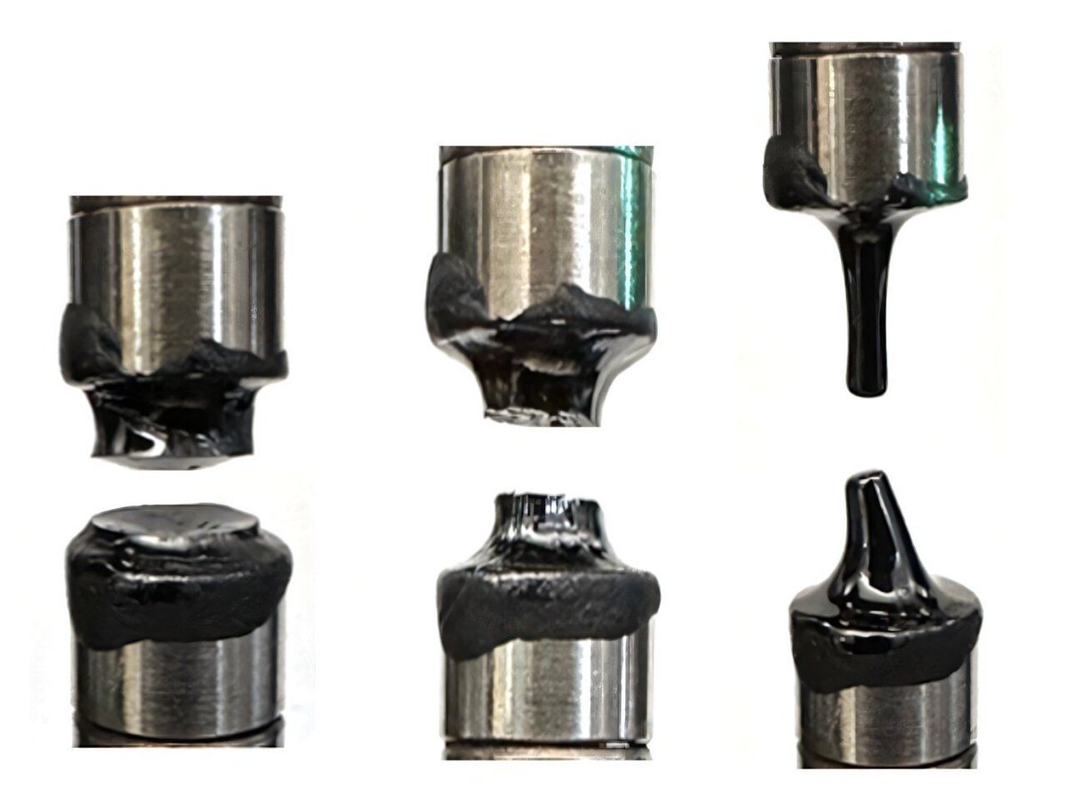 Jon Lieff MD -- Searching for the Mind Blog tweet media