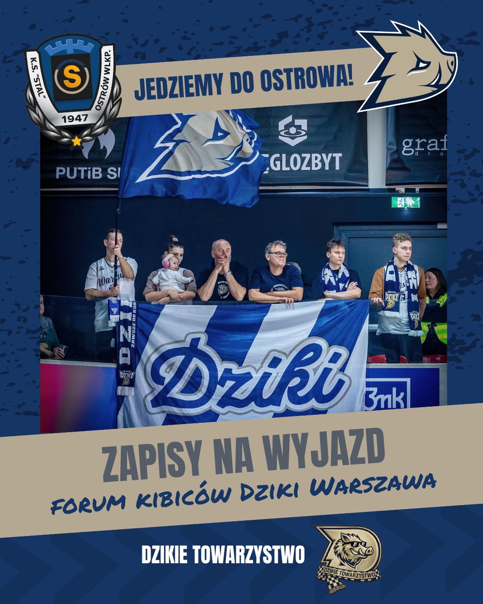 Dzikie Towarzystwo 🐗 tweet media