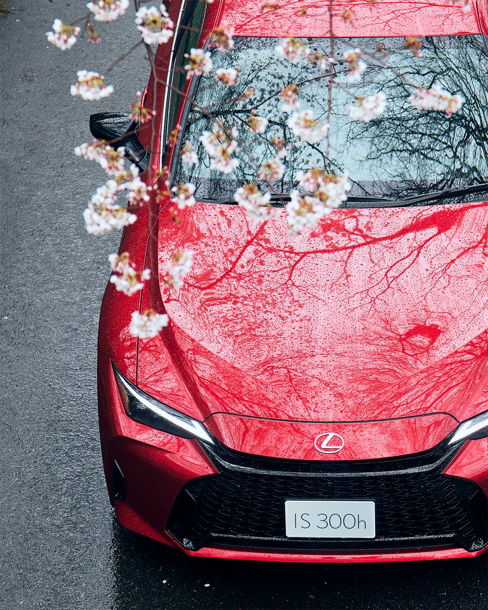 lexus_jpn's tweet image. - LEXUS IS×桜 -

#LEXUS #LEXUSIS #桜 #レクサスと日本の風景
