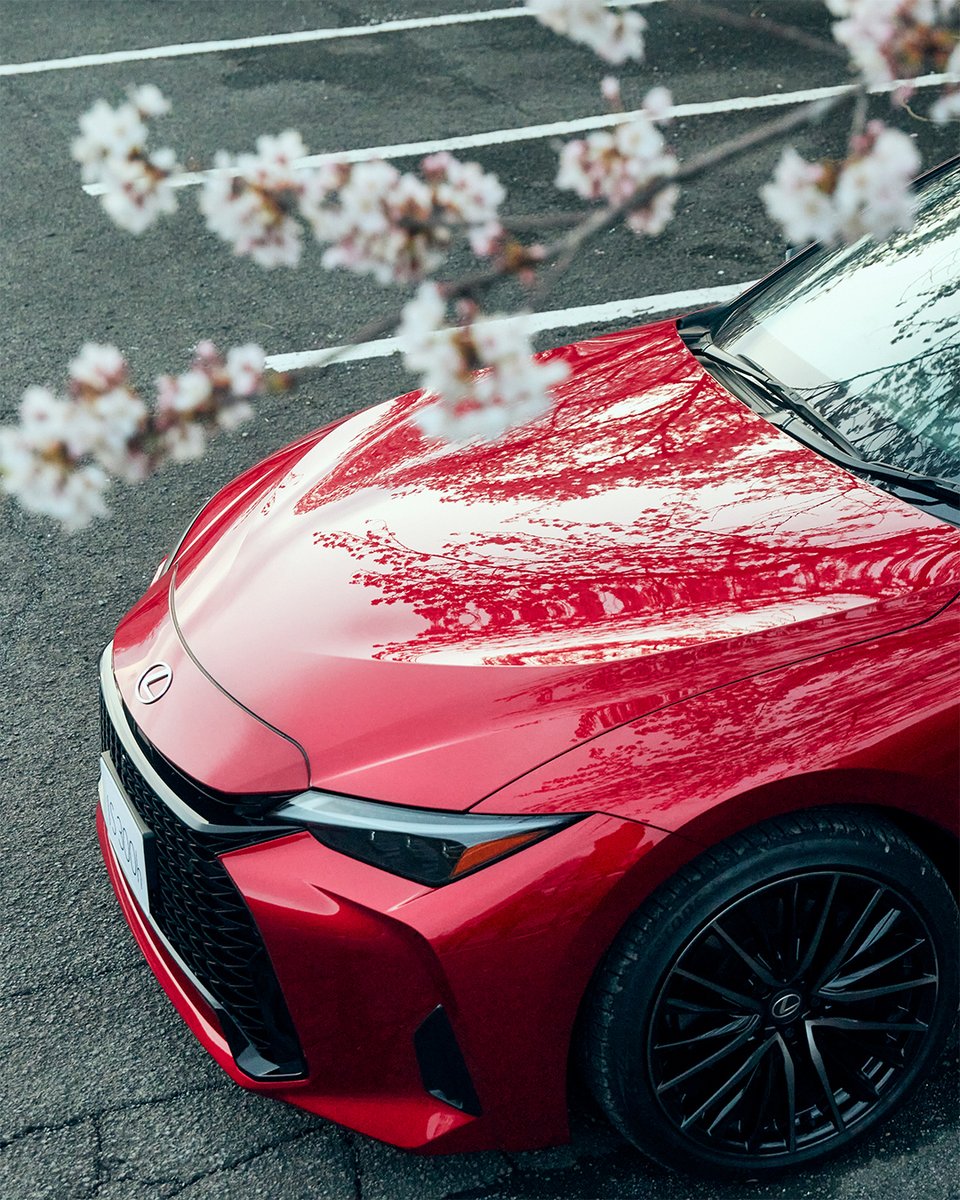 lexus_jpn's tweet image. - LEXUS IS×桜 -

#LEXUS #LEXUSIS #桜 #レクサスと日本の風景