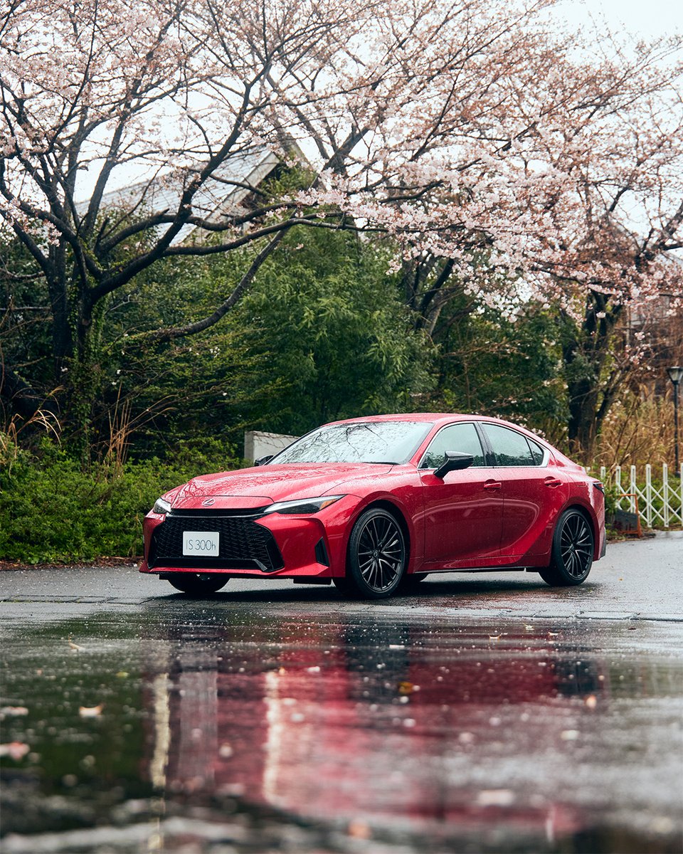 lexus_jpn's tweet image. - LEXUS IS×桜 -

#LEXUS #LEXUSIS #桜 #レクサスと日本の風景