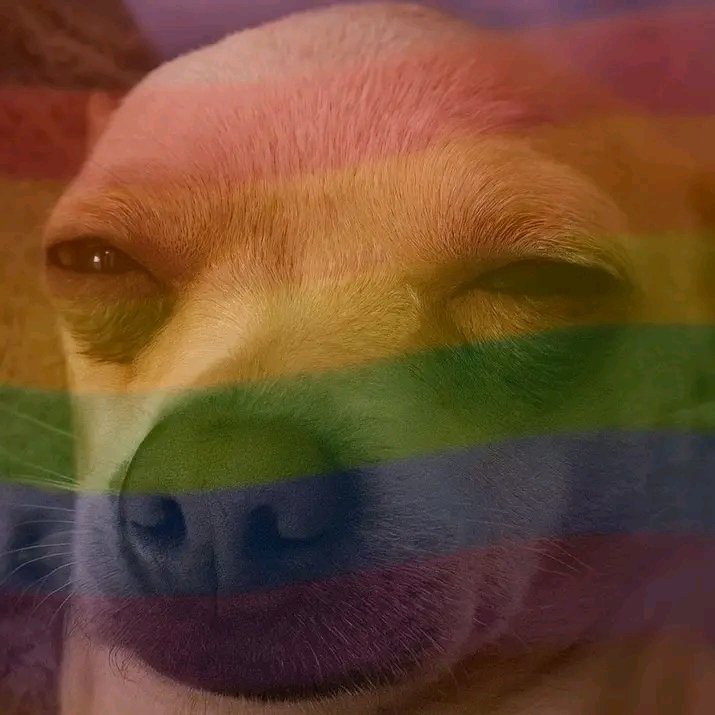 Styles..💭🟦 tweet media