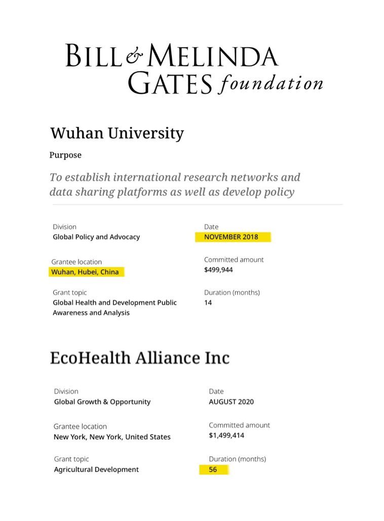 IRISH PATRIOT tweet media