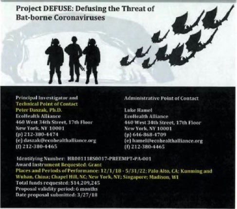 IRISH PATRIOT tweet media