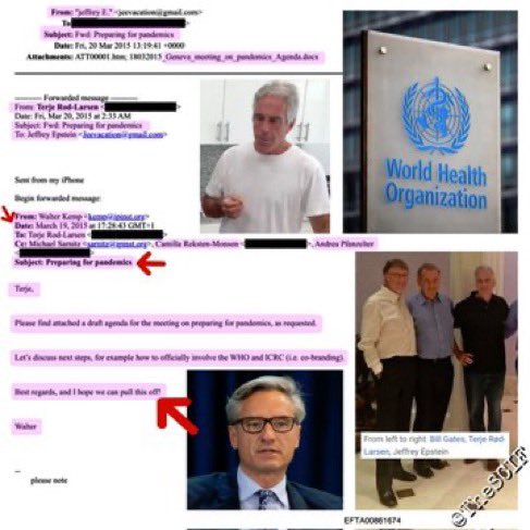 IRISH PATRIOT tweet media