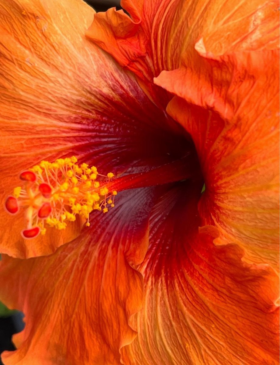 𝙈𝙖𝙧𝙮 tweet media