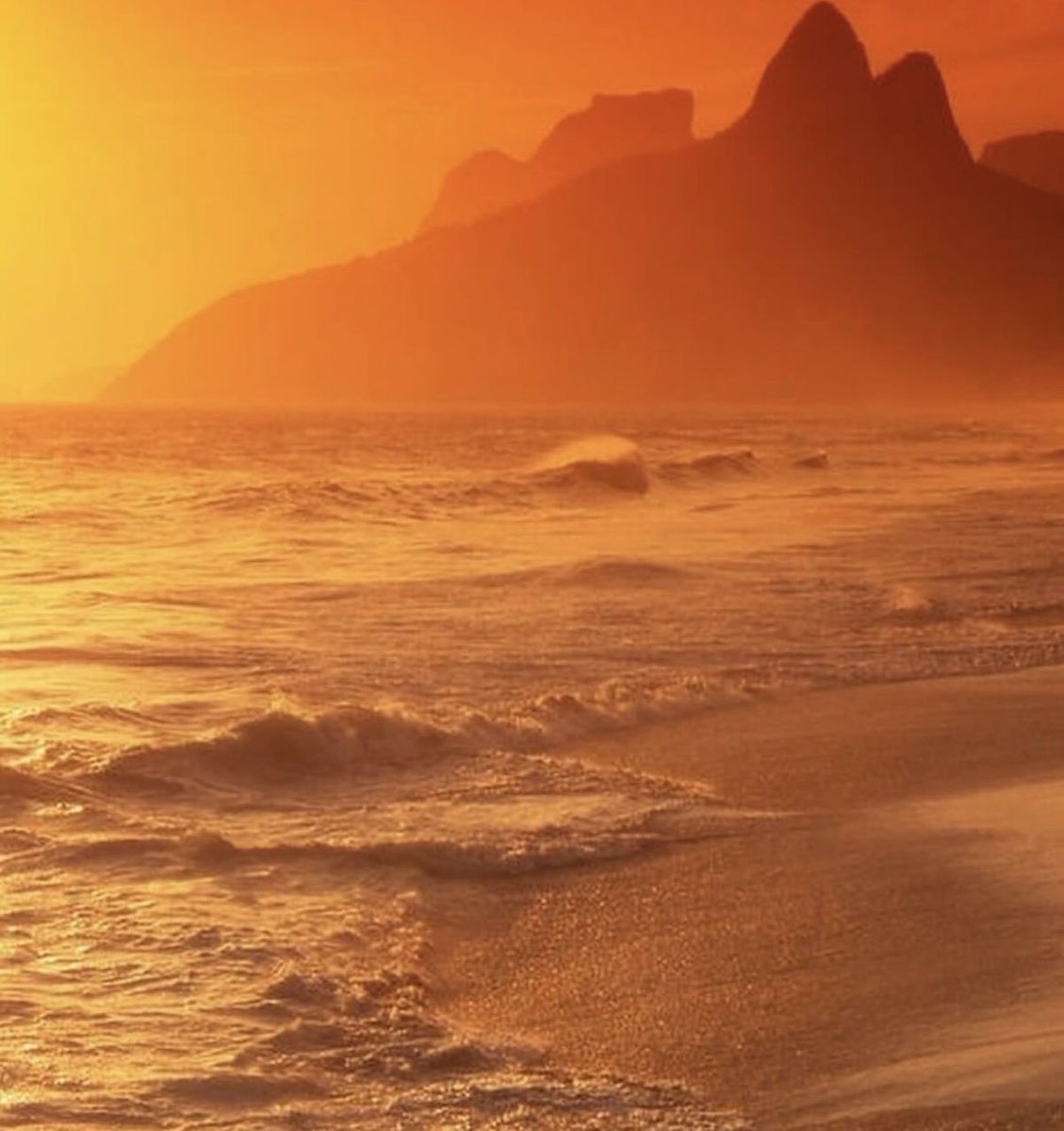 𝙈𝙖𝙧𝙮 tweet media