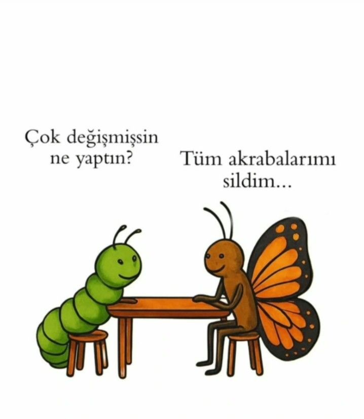 Gökyüzü✨ tweet media