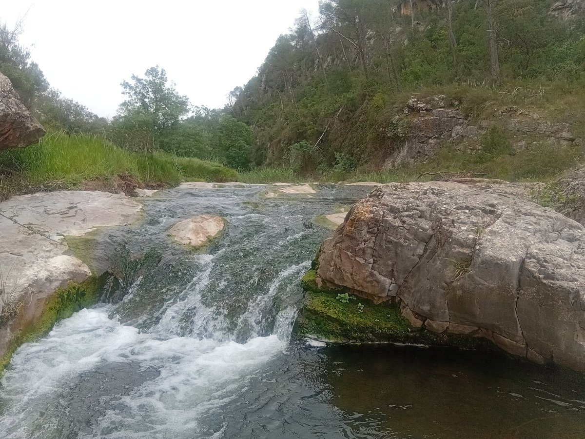 Jordi Martí Font tweet media