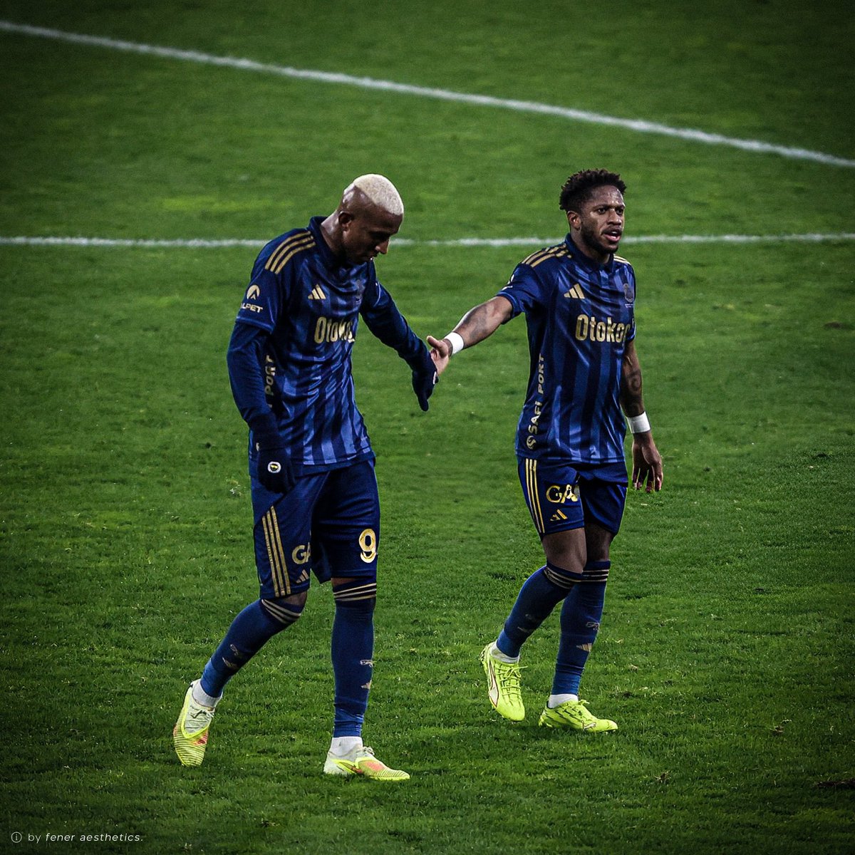 Daima Fener tweet media
