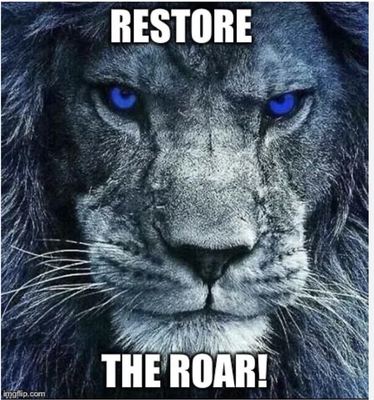 CRAIG קרייג 🙏🏻🌻😊✨💖 tweet media