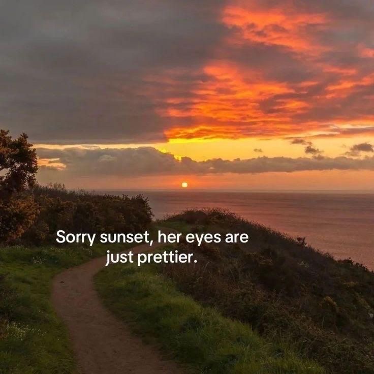 messages. tweet media