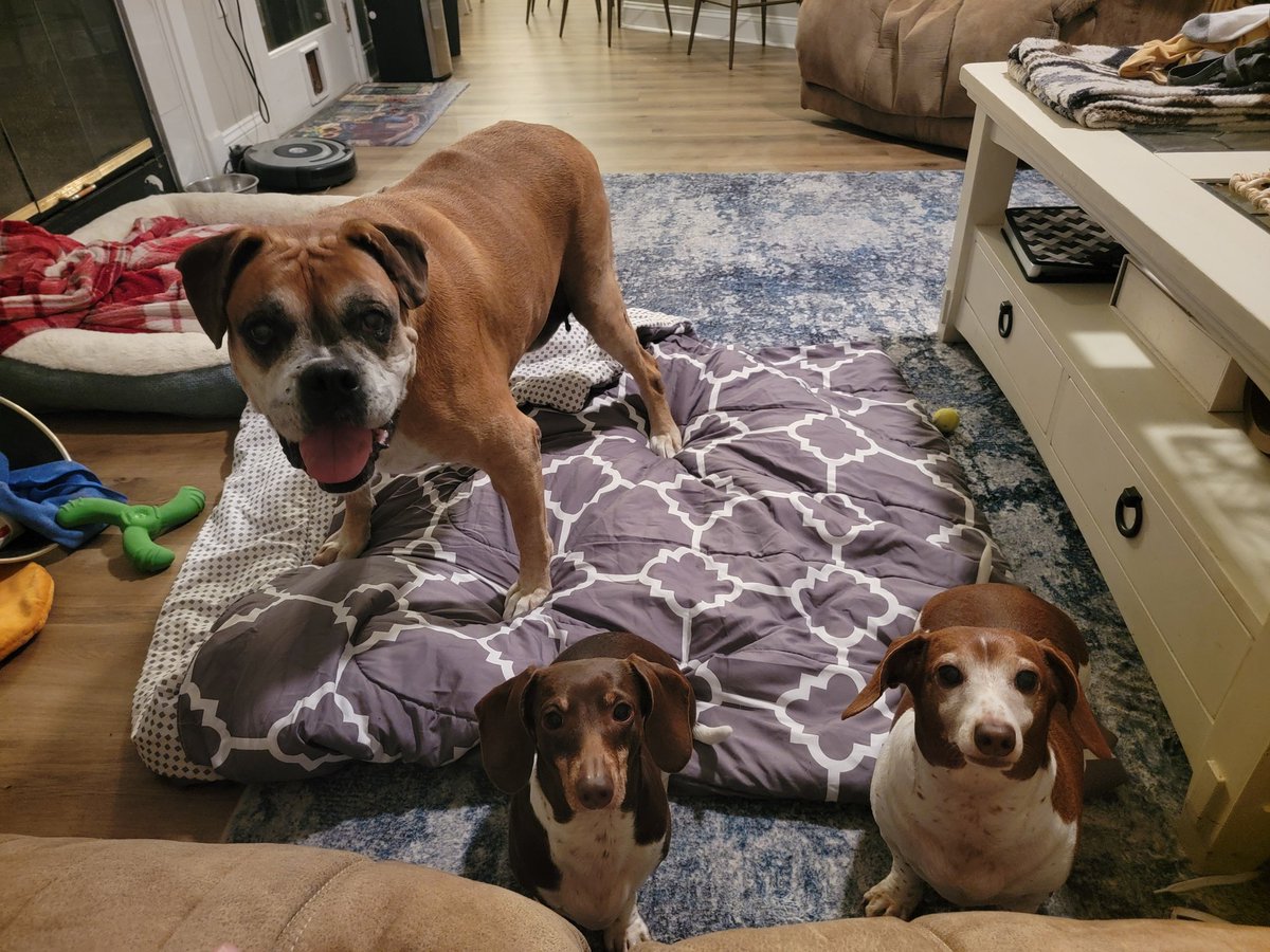 Sassafrass84 tweet media