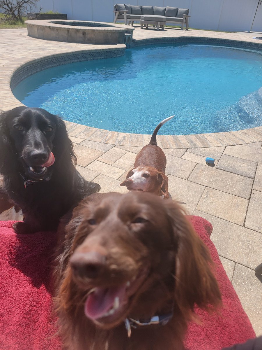 Sassafrass84 tweet media