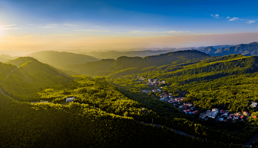 vito tac tic tweet media