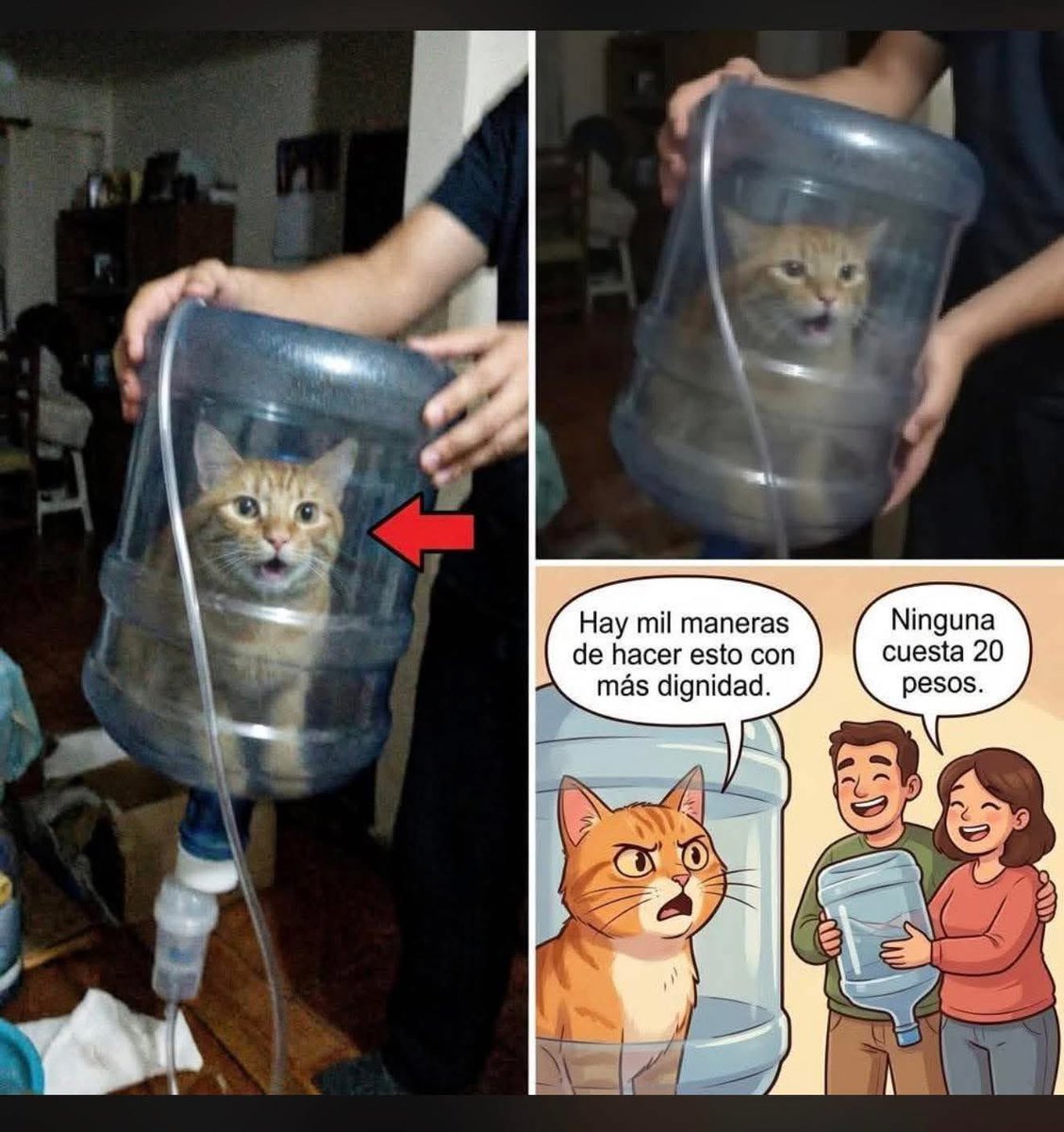 =͟͟͞♡~Verit0 𝕏  tweet media