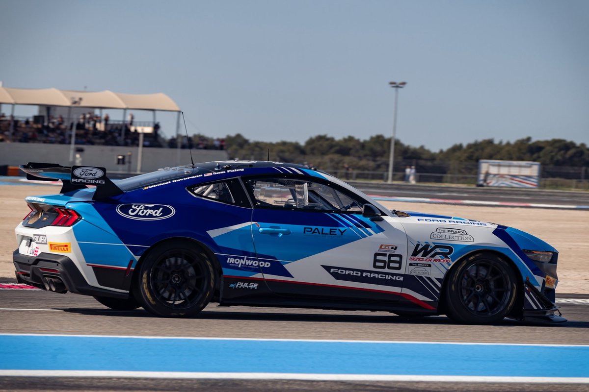 Sam Paley tweet media