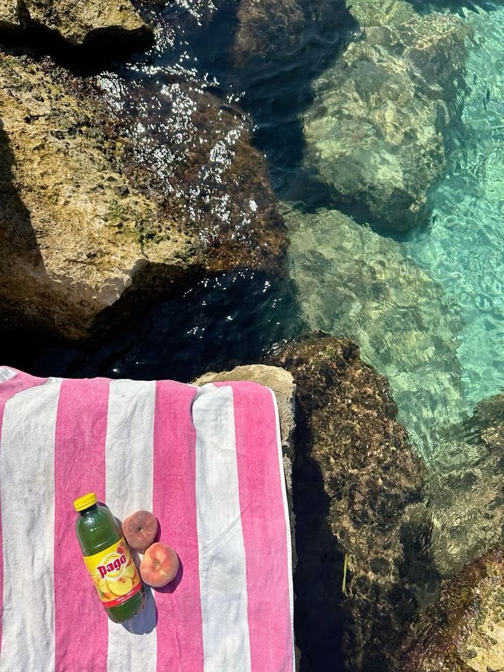 𝓼𝓸𝓯𝓲𝓪 tweet media