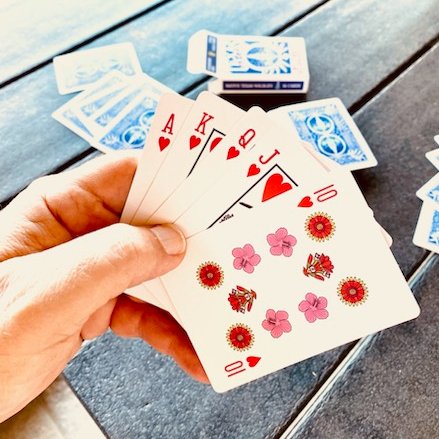 JenRobichaux's tweet image. Texas business owners know the routine:
paying quarterly sales taxes.

To celebrate completing this quarter's filing,
I'm having a sale on Texas Wild Cards playing cards.

Sales tax is on the house through April 20th.

Discount automatically applied at ClimbOnArt.com