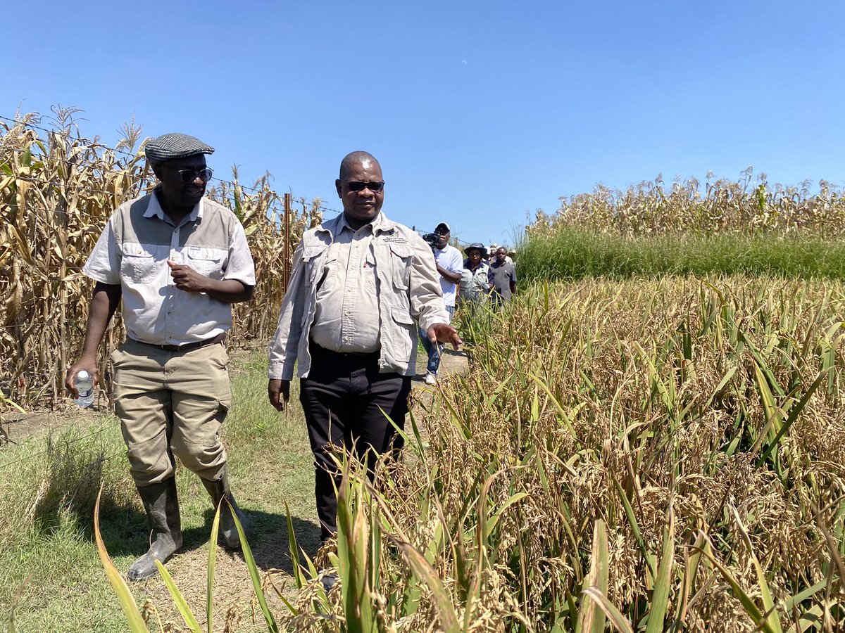 MinofLands,Agric,Fisheries,Water&Rural Development tweet media