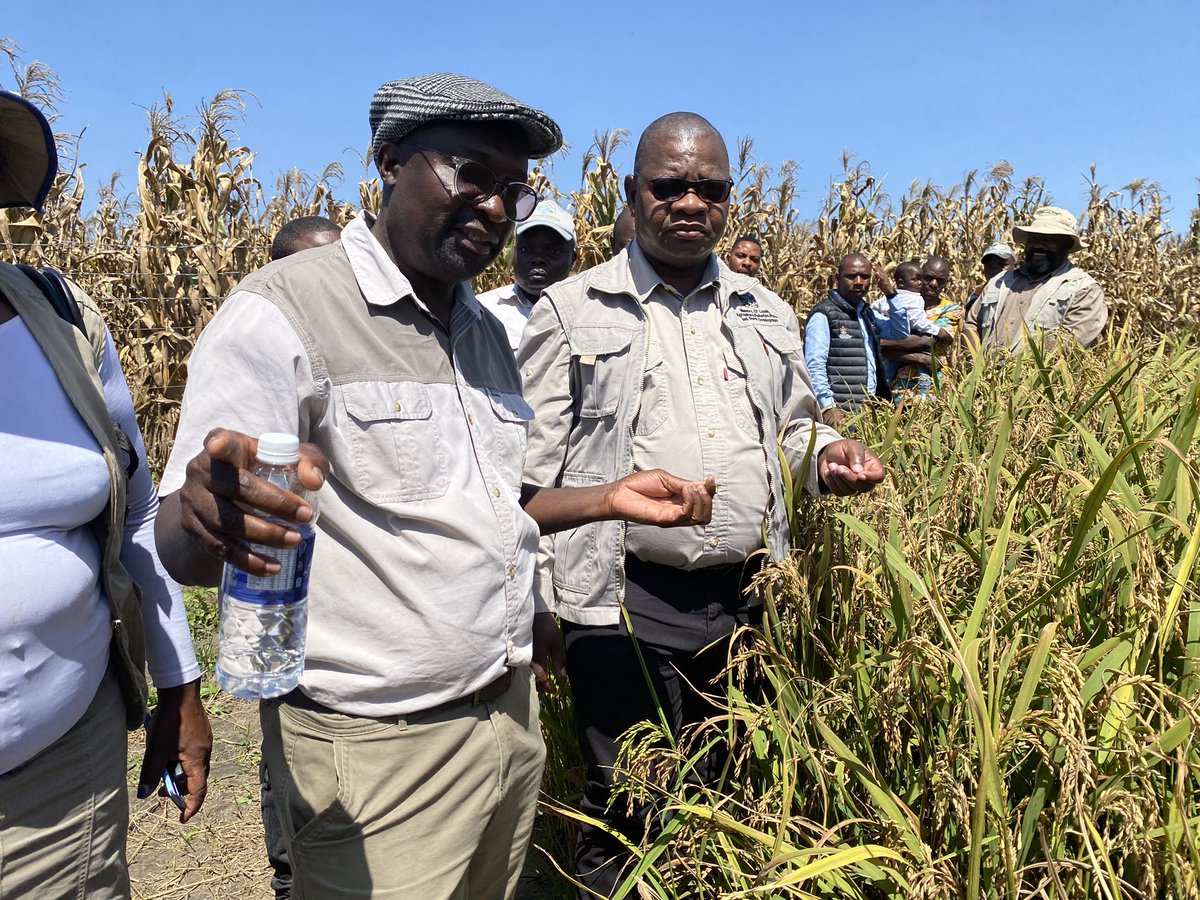 MinofLands,Agric,Fisheries,Water&Rural Development tweet media