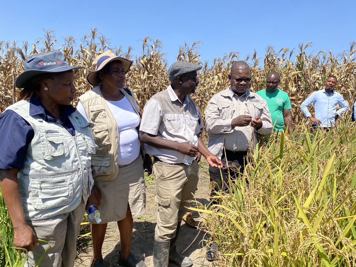 MinofLands,Agric,Fisheries,Water&Rural Development tweet media