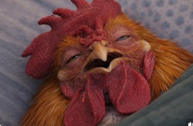 Missy Emporium 🎀 tweet media