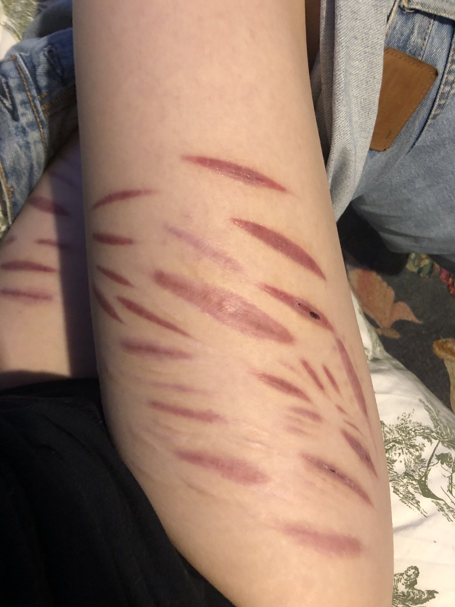 ★ fadingobsessions ★ 🇵🇸 tweet media