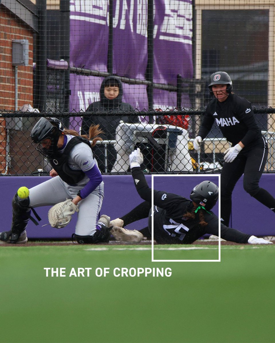 Omaha Softball tweet media