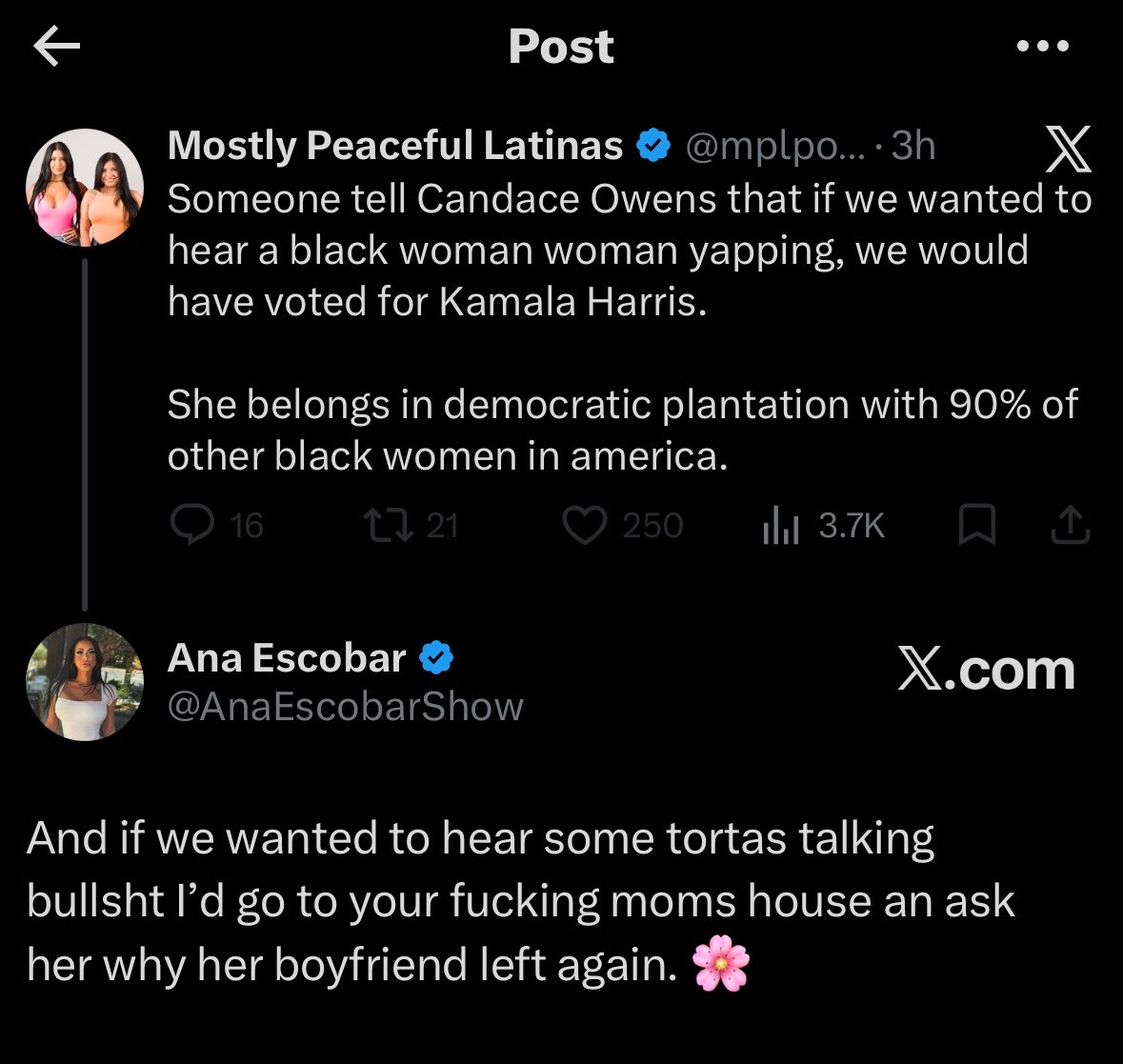 Ana Escobar tweet media