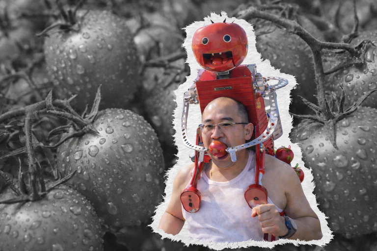 TinkimoRobotics's tweet photo. Would you trust a robot to feed you mid marathon

This quirky tomato feeding robot blends tech, nutrition and pure fun in one unforgettable run.

https://t.co/p1Tjyh081M

#Robotics #AI #Marathon #Innovation https://t.co/Rnymomblzy
