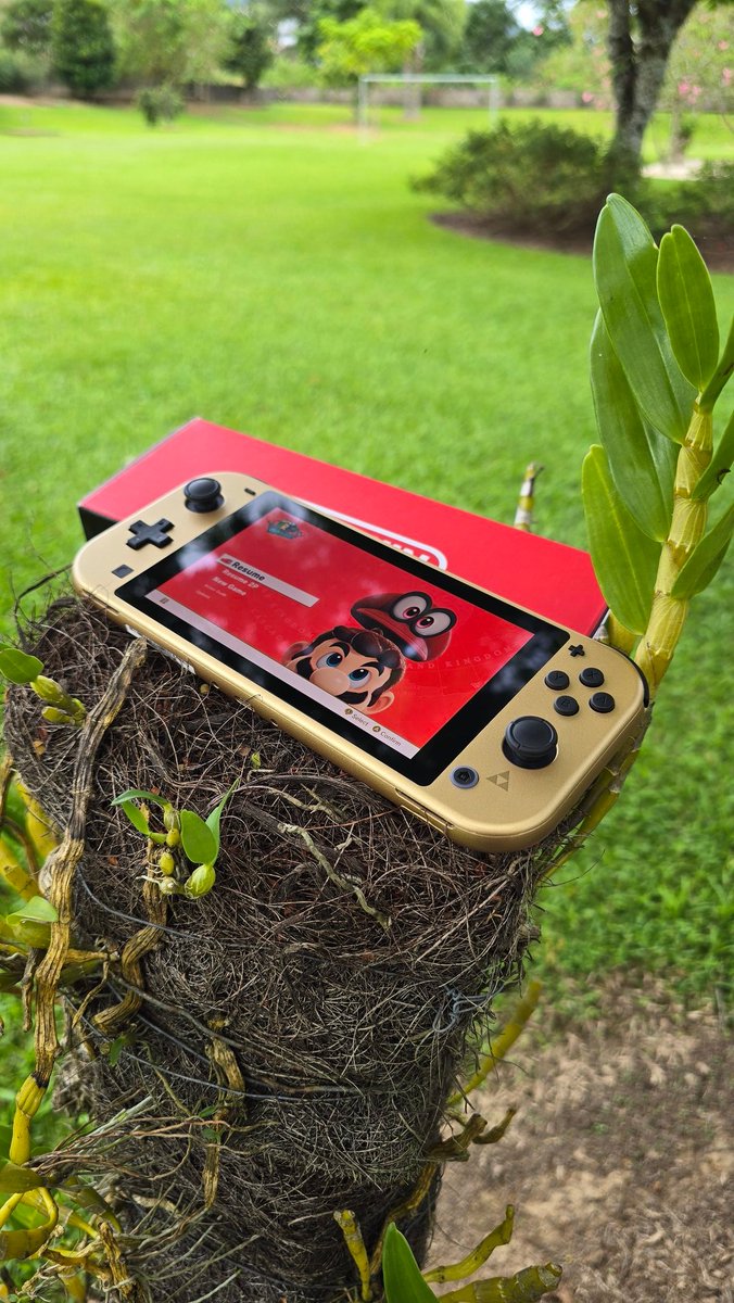 retroboybr's tweet image. Provavelmente um dos dois únicos Switch Lite OLED do Brasil 😬

O outro tá por aqui também