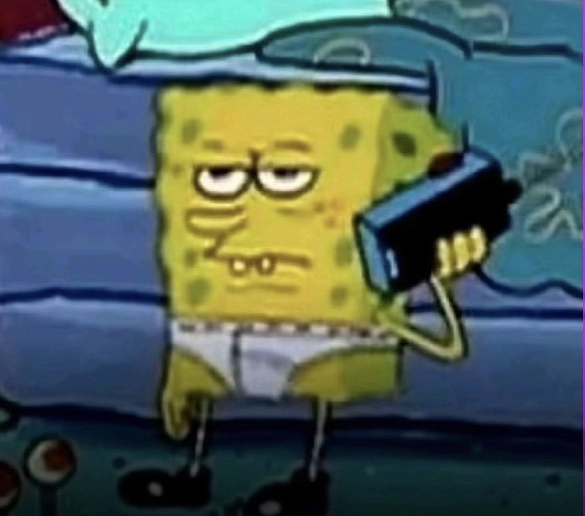 champagne tweet media