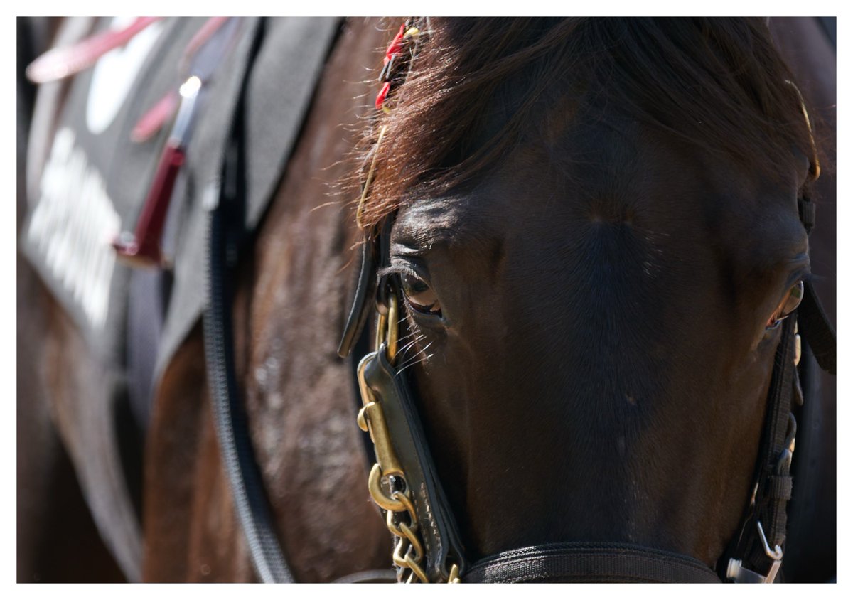 もんちゃん＠写真垢 tweet media