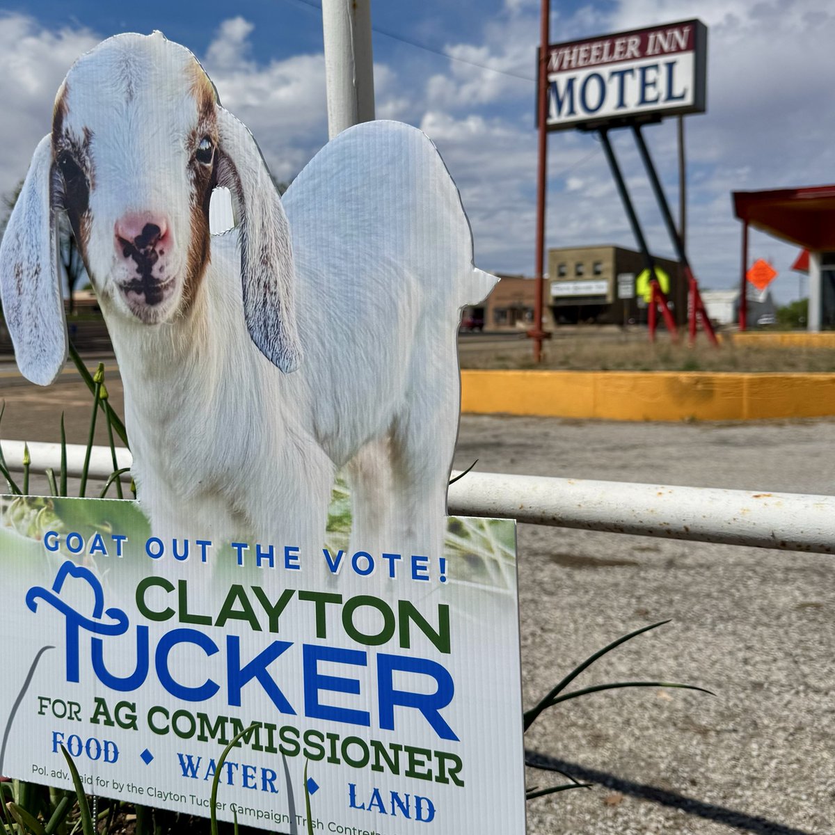 ClaytonTuckerTX's tweet image. Lyndon the Goat is in Wheeler! 

Be sure to get your Goat Out the Vote today!

store.claytontuckertx.com

#goat #texas #panhandletx