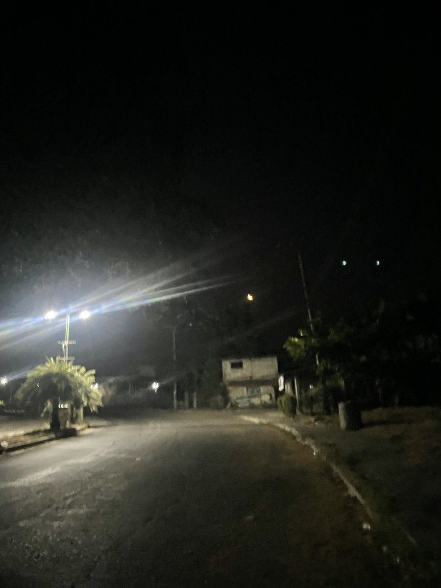 Rawr! 🦖 tweet media