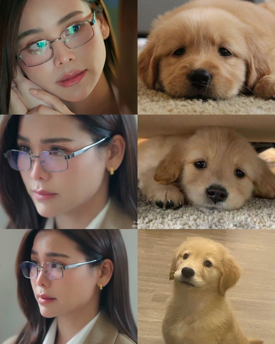 ดีอีเออา ʕ•ᴥ•ʔ (🐶🐰) tweet media