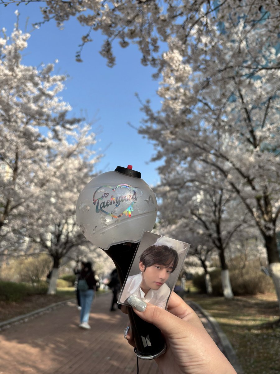 bt_sss_mith's tweet photo. キンテックスの桜がすごく綺麗だったトレカ持ってきてよかった🪽🌸 https://t.co/HTS7jT1PUd