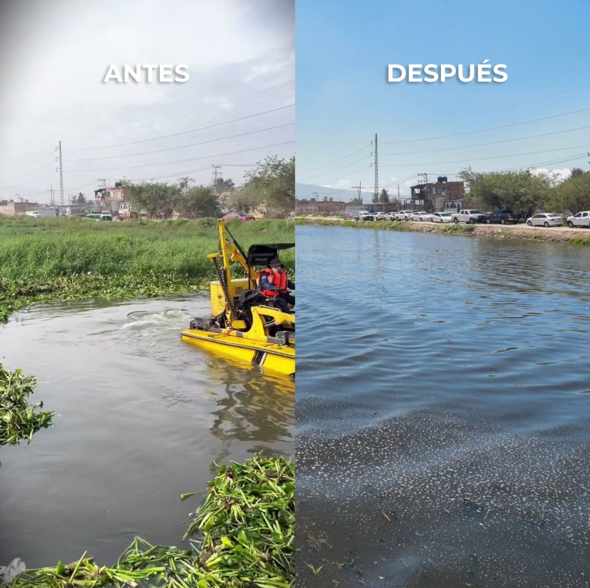 Pablo Lemus Navarro tweet media