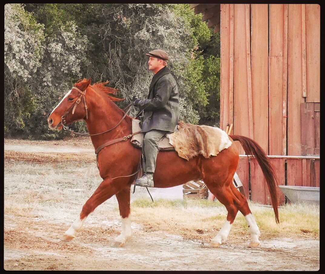 Grisha Callen/Don Hart tweet media