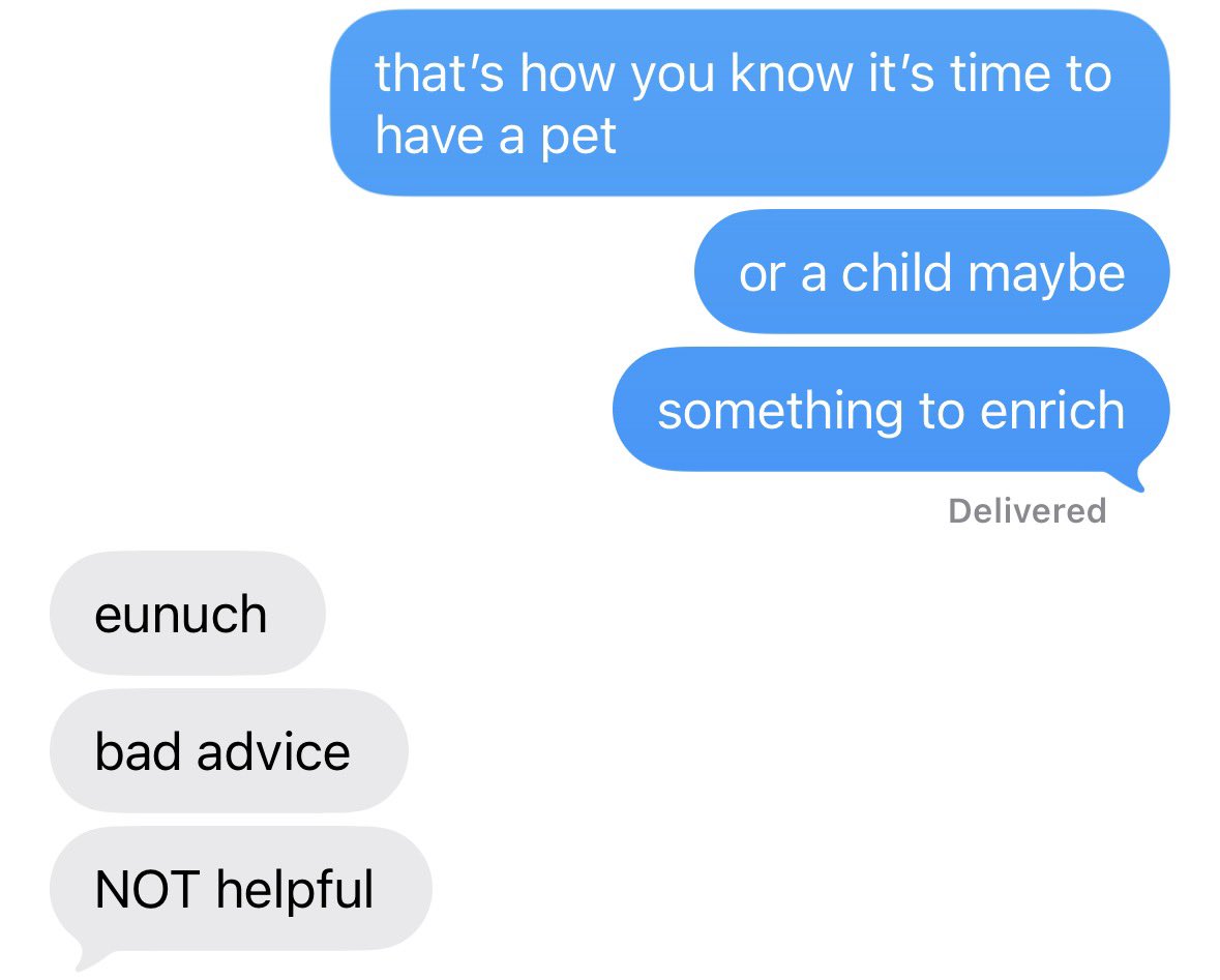 maya 🦭 tweet media