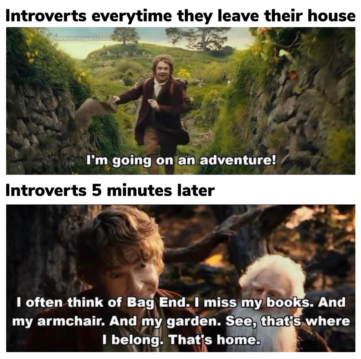 All About Introverts tweet media