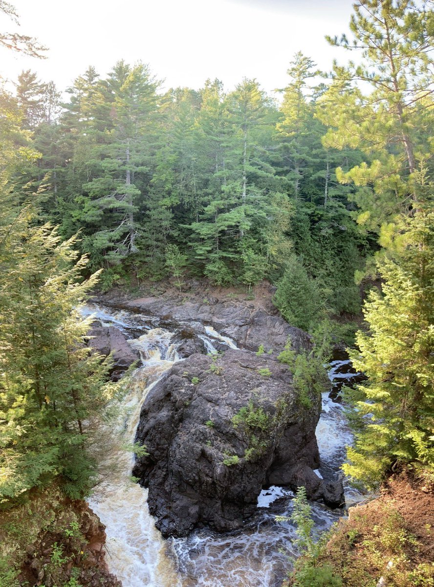 onion person tweet media