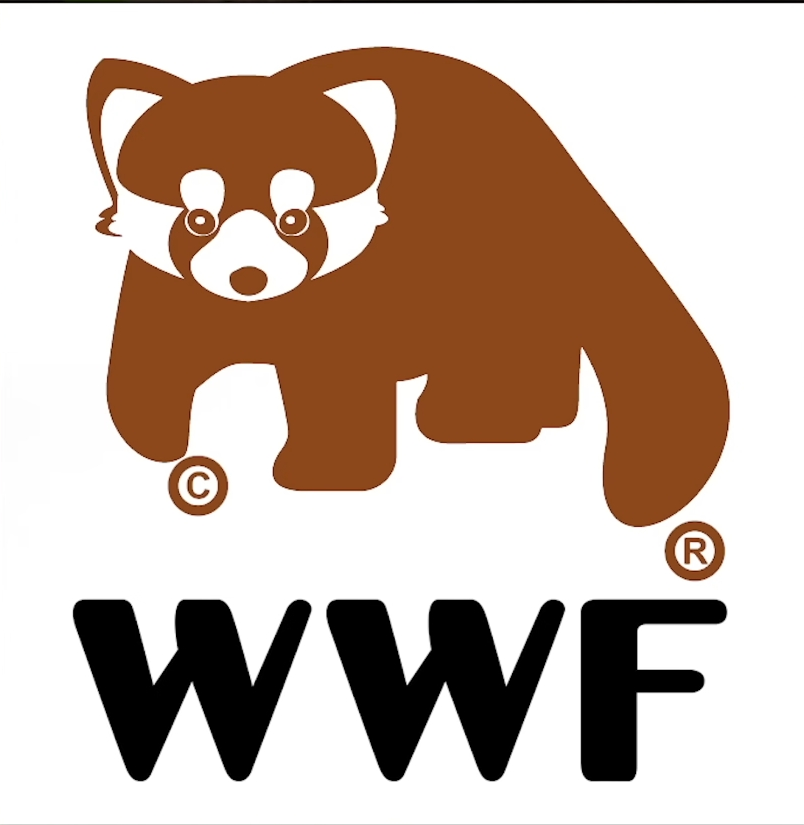 mike_knops's tweet photo. @WWF On behalf of the entire Red Panda population, i propose a logo change. The panda you guys have had as your logo for many years hasn't been an endangered animal for at least a decade. I propose this picture to replace it. https://t.co/3lKf3W0rt9