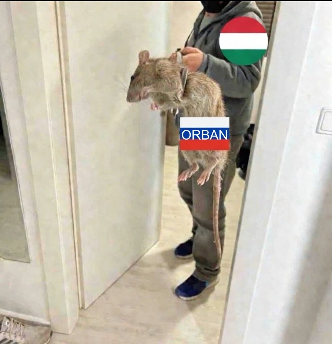 Kornelia E tweet media