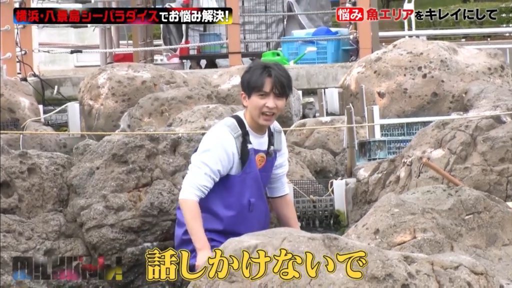 牛乳運び屋ｻﾝ🎵 tweet media