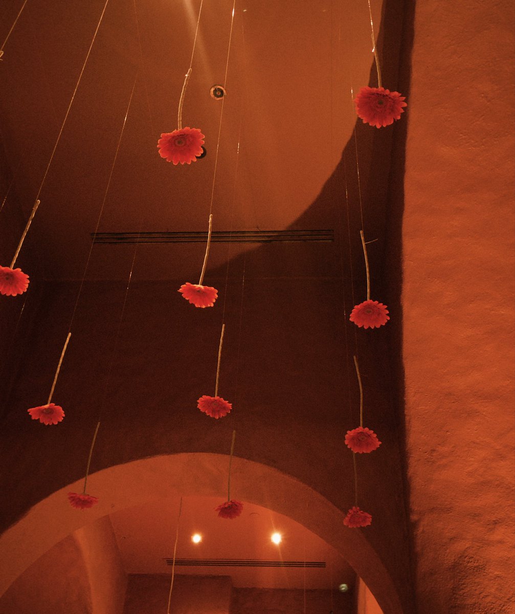 سُـلطـان tweet media